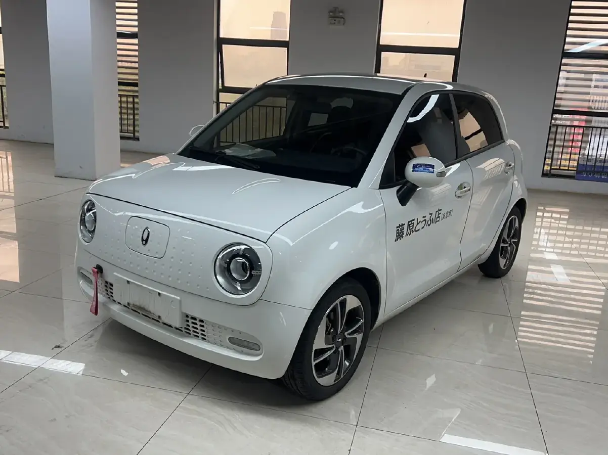 2022 Ora BlackCat BEV 33KWH