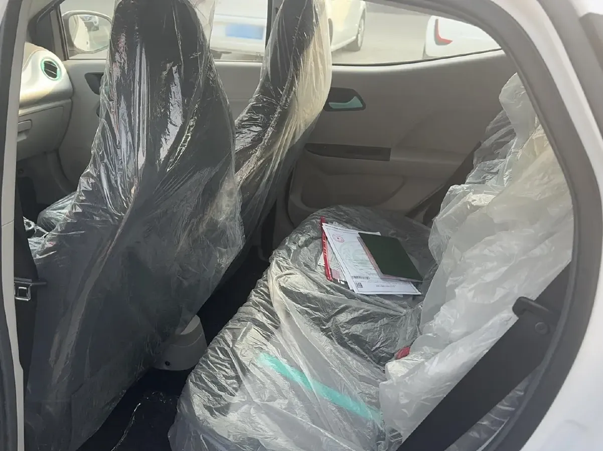 2024 JMEV Little Kylin BEV 15.86KWH,autocango,china used car exporter,china ev exporter,chinese used car exporter,chinese used ev exporter