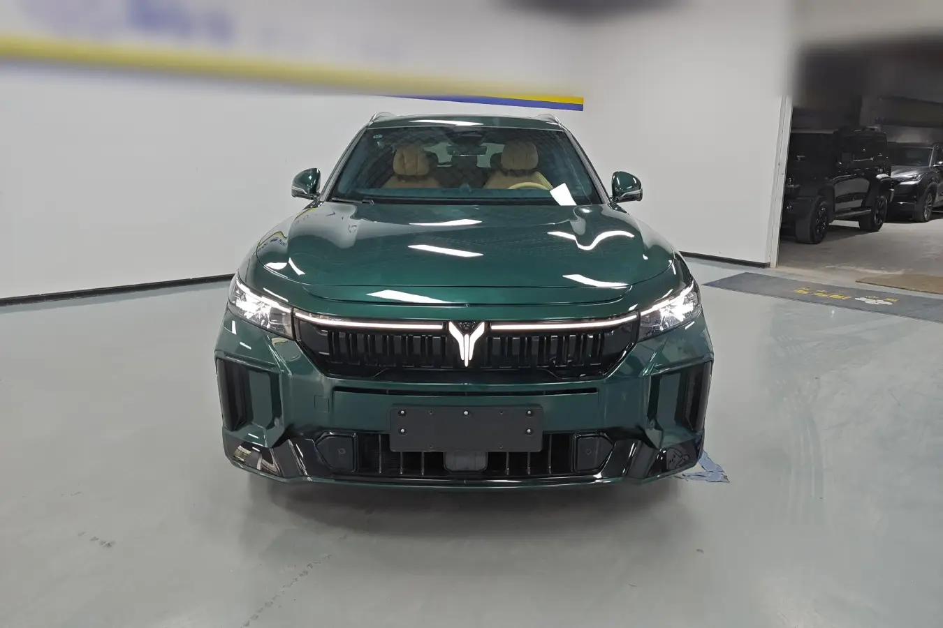 2024 Voyah FREE 1.5T 150HP L4 REEV 39.2KWH,autocango,china used car exporter,china ev exporter,chinese used car exporter,chinese used ev exporter