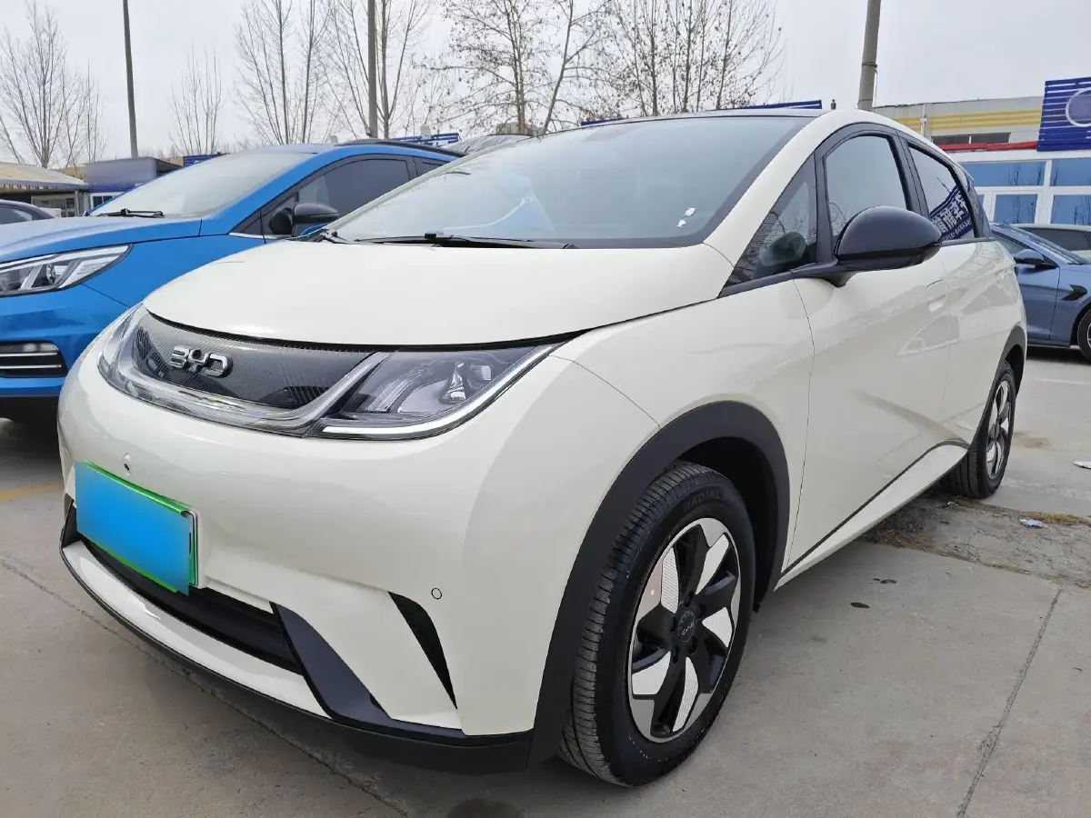 2024 BYD Dolphin BEV 44.928KWH