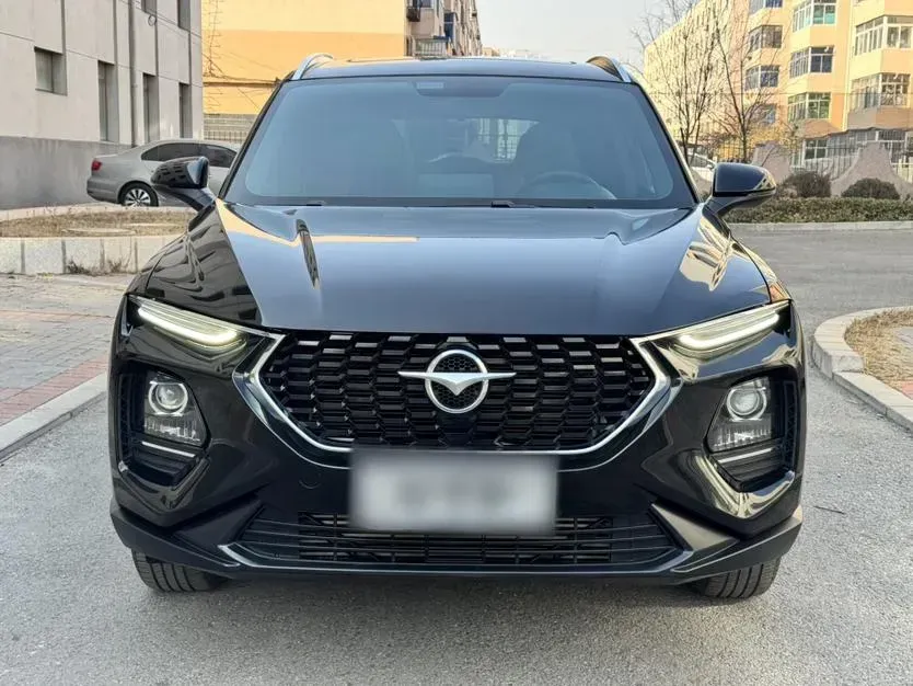 2020 HaiMa 8S 1.6T 195HP L4 6AT,autocango,china used car exporter,china ev exporter,chinese used car exporter,chinese used ev exporter