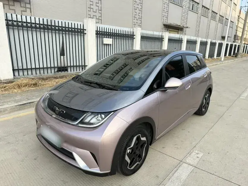2021 BYD Dolphin BEV 44.9KWH