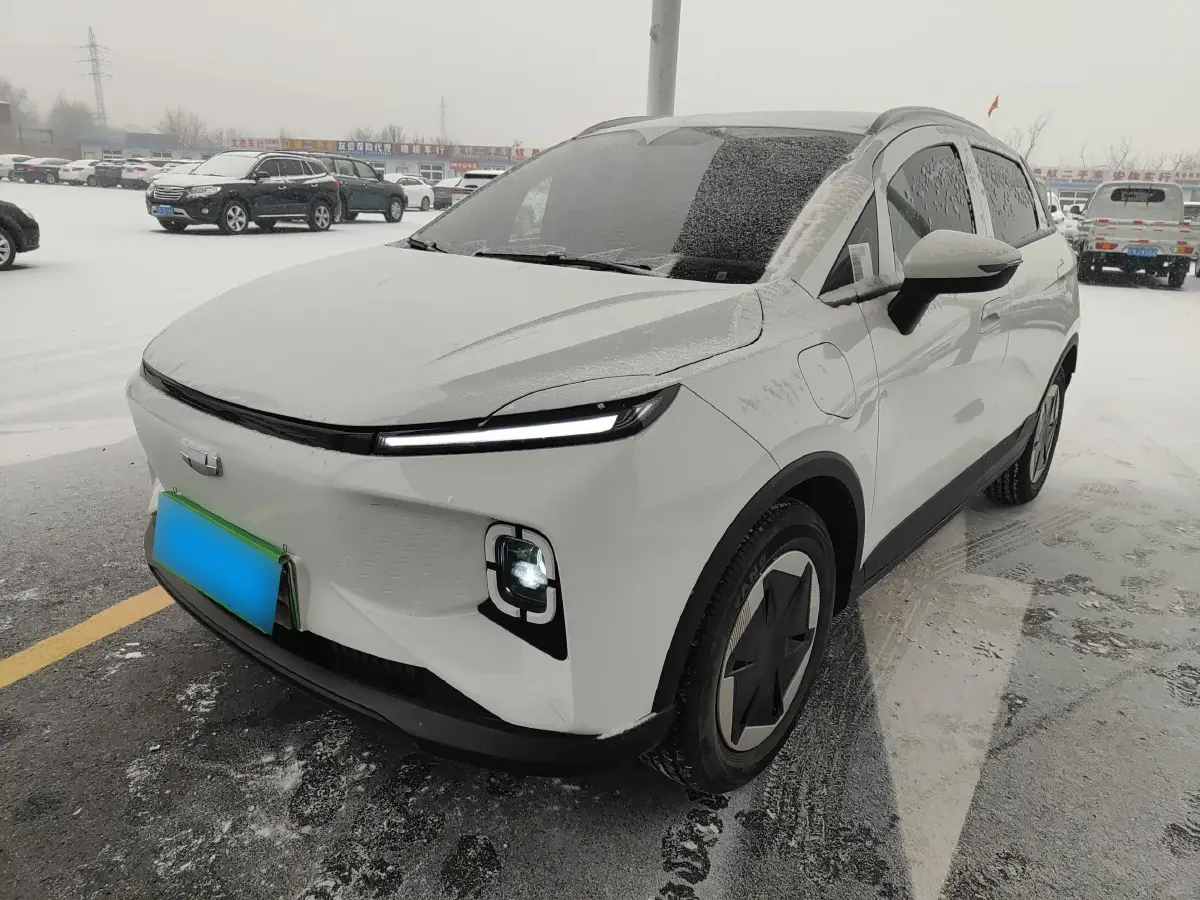 2024 Geometry E BEV 29.67KWH