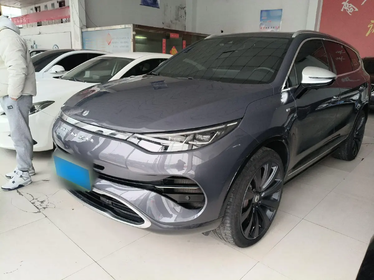 2020 Denza X 2.0T 192HP L4 6DCT PHEV 24KWH