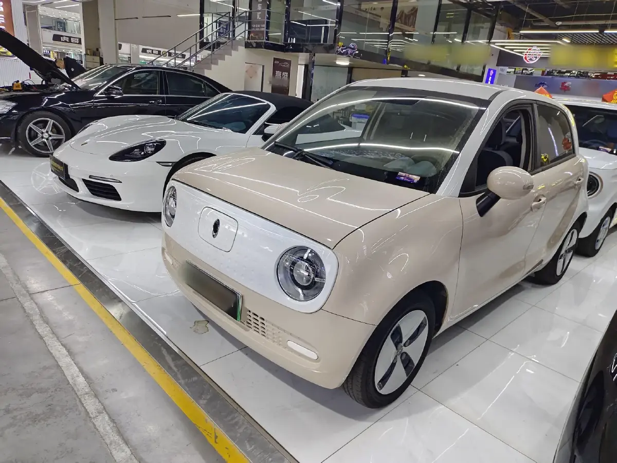 2021 Ora BlackCat BEV 30.3KWH