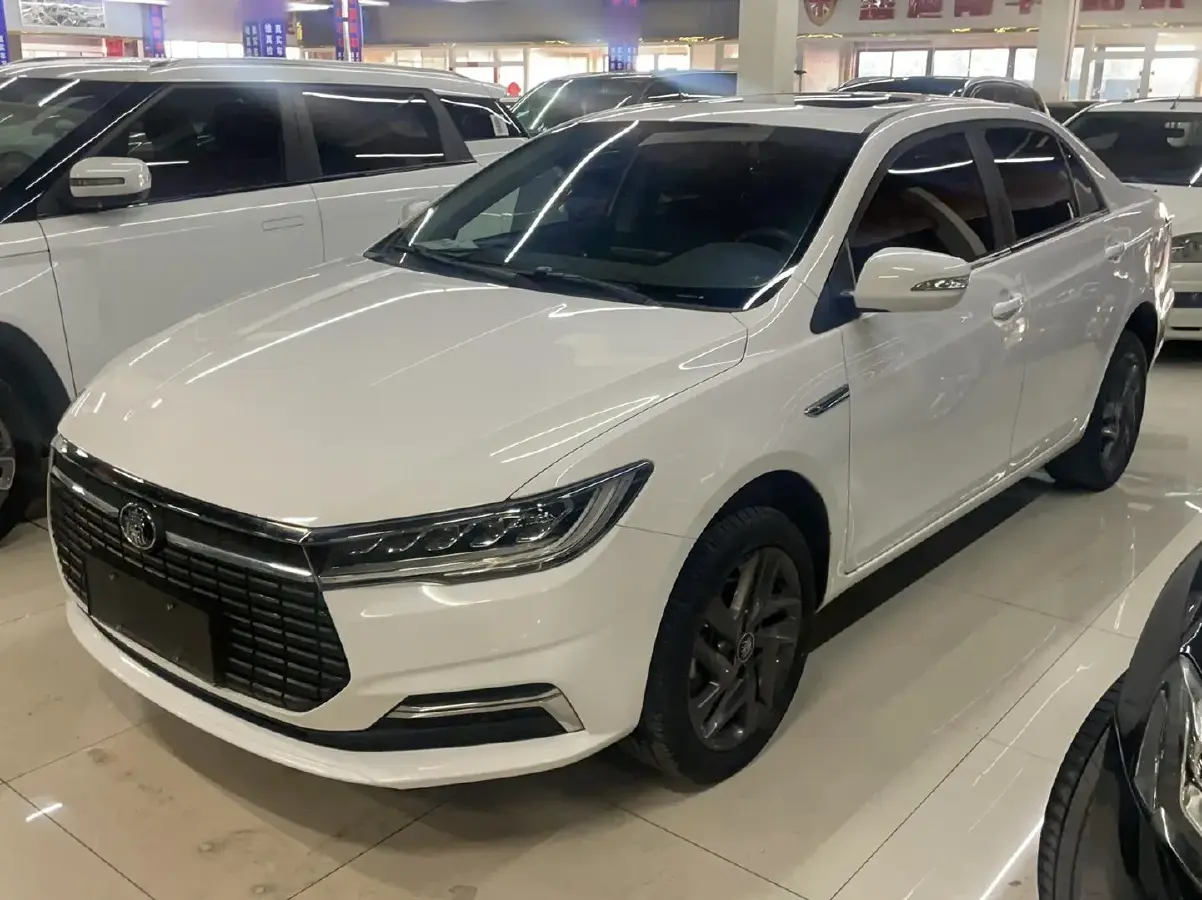 2019 BYD Qin BEV 53.1KWH