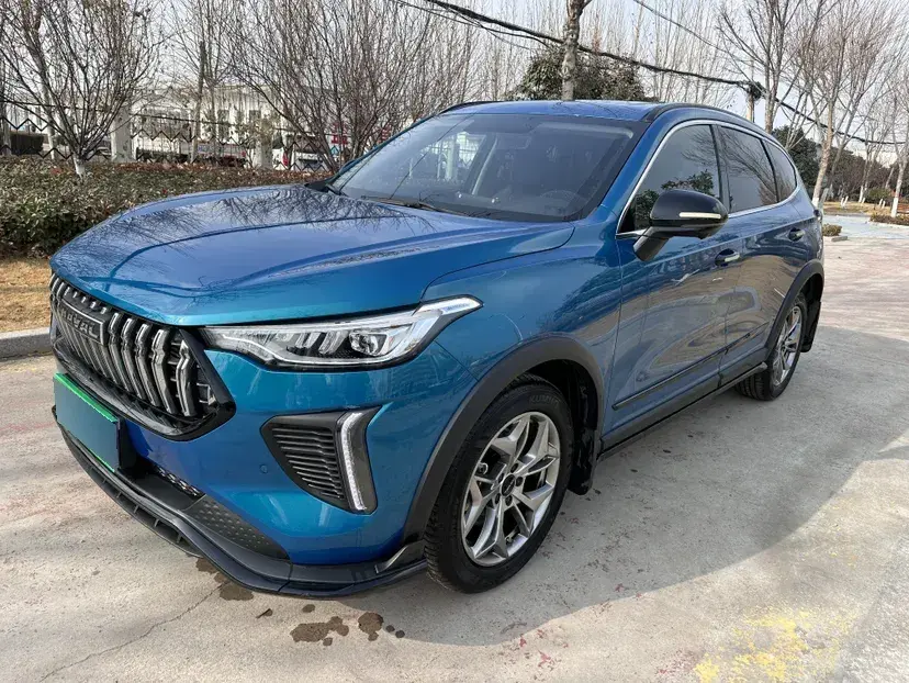 2022 Haval Rabbit 1.5T 150HP L4 7DCT