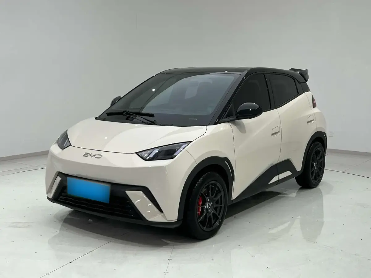 2024 BYD Seagull BEV 30.08KWH