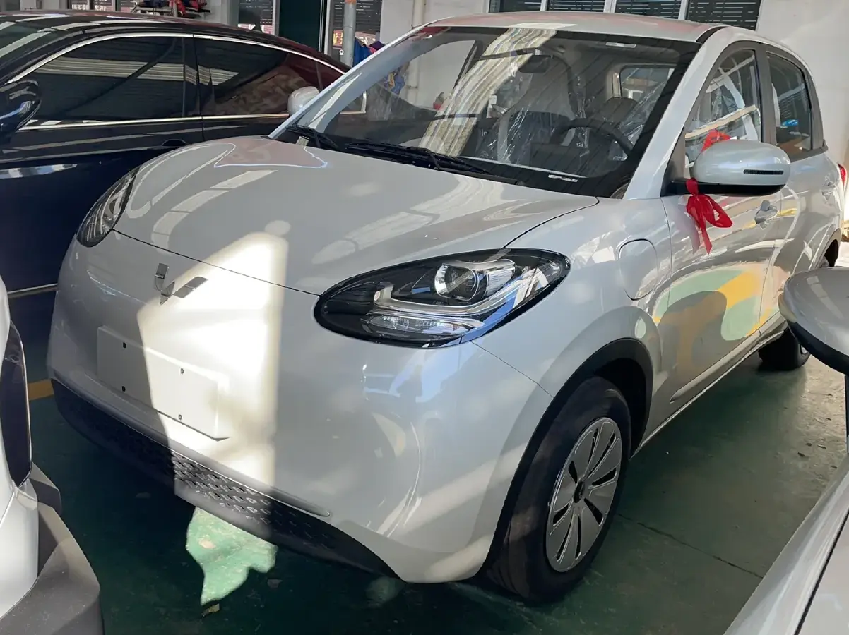 2024 WuLing BinGuo BEV 17.3KWH