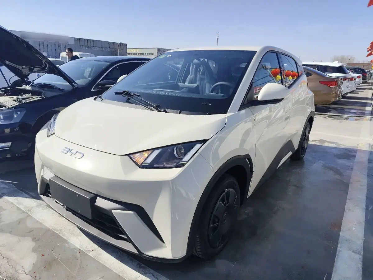 2025 BYD Seagull BEV 30.08KWH