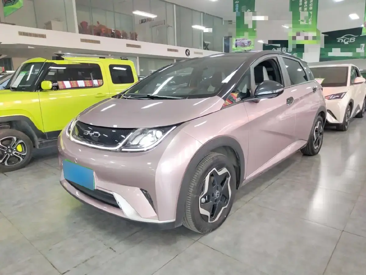 2021 BYD Dolphin BEV 44.9KWH