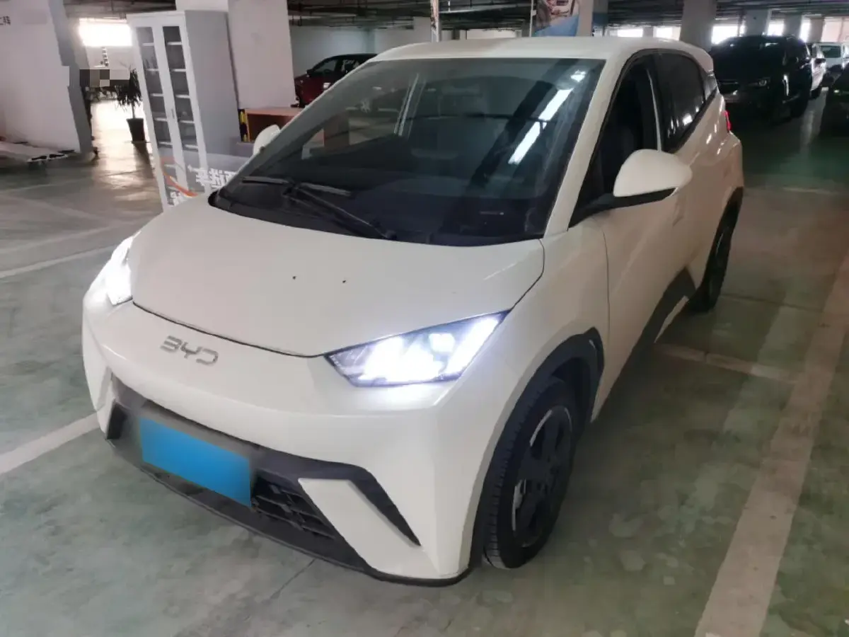 2024 BYD Seagull BEV 30.08KWH