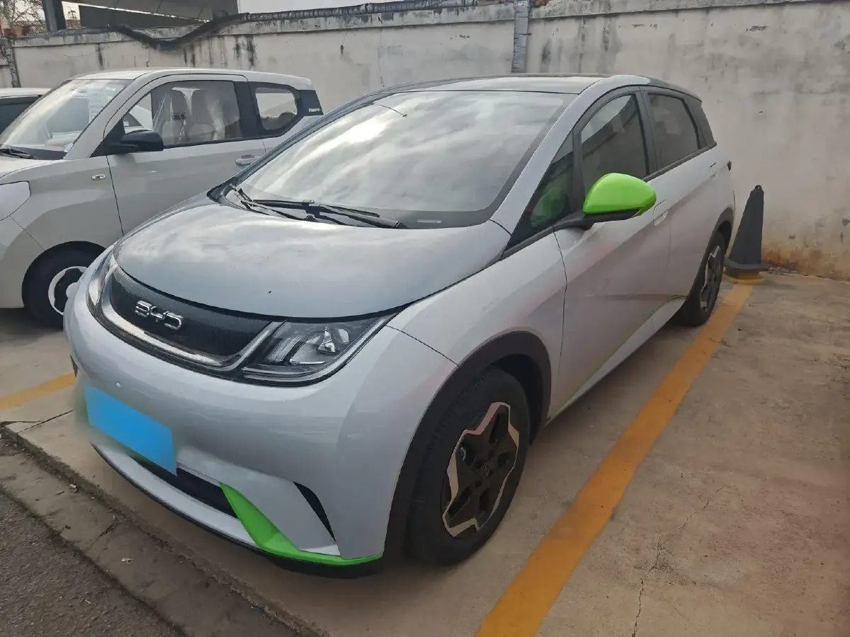 2021 BYD Dolphin BEV 44.9KWH