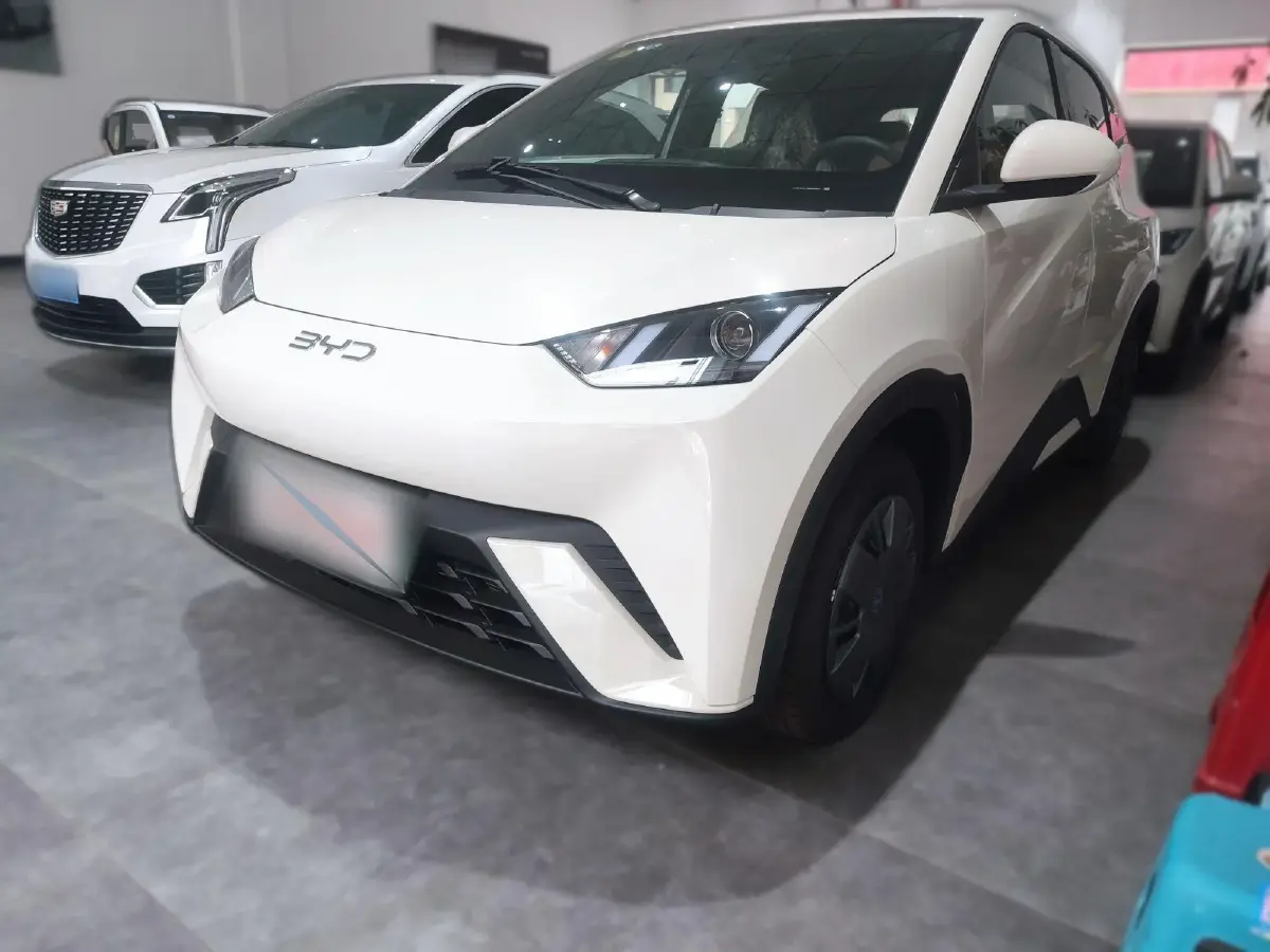 2024 BYD Seagull BEV 30.08KWH
