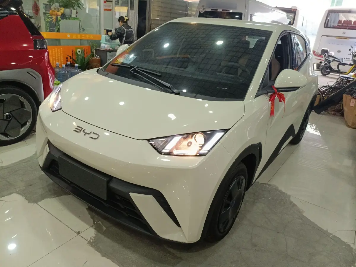2025 BYD Seagull BEV 30.08KWH