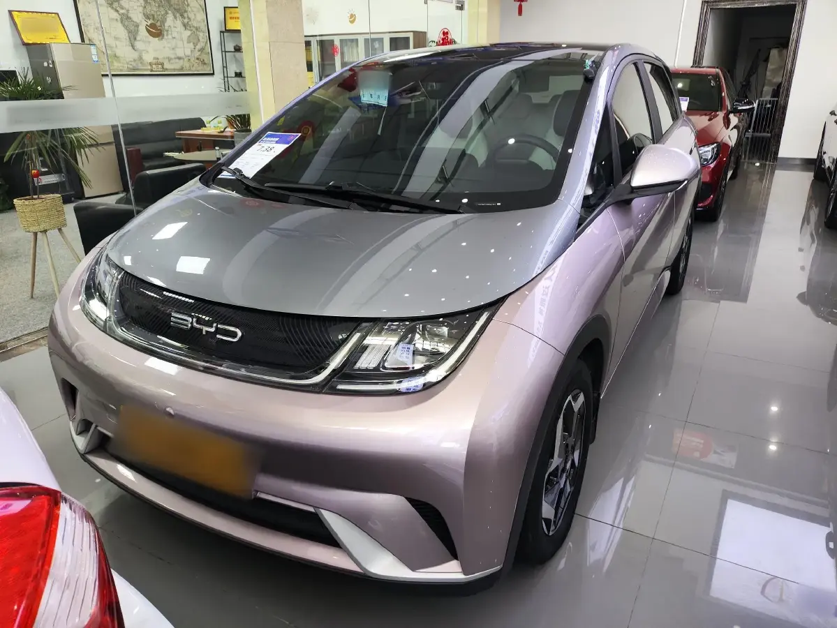 2021 BYD Dolphin BEV 44.9KWH