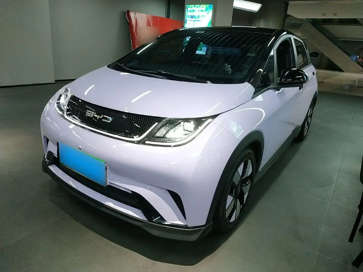 2021 BYD Dolphin BEV 44.9KWH