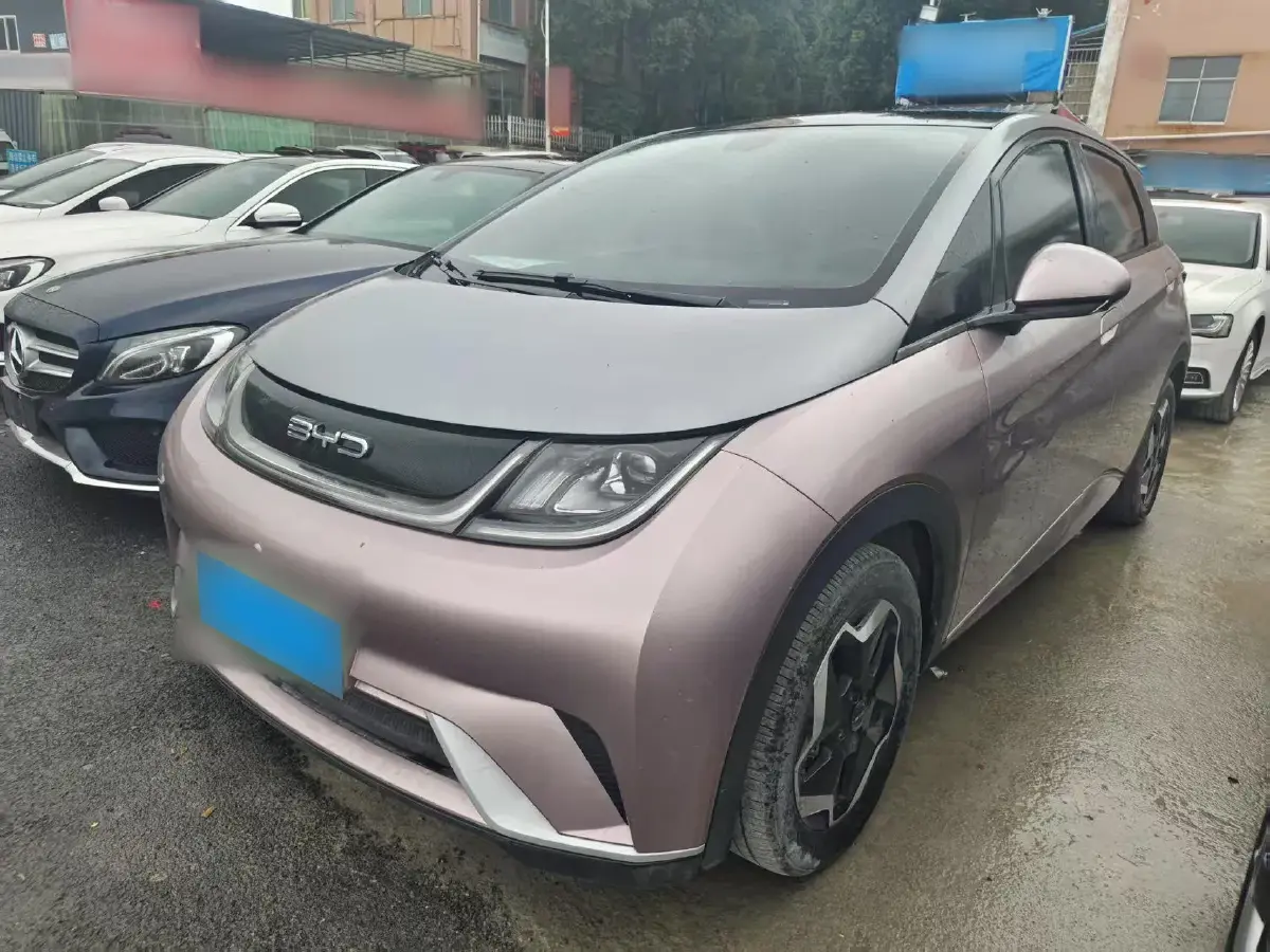 2021 BYD Dolphin BEV 44.9KWH