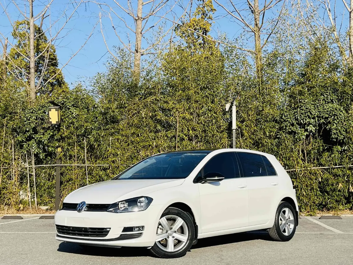 2017 Volkswagen Golf 1.6L 110HP L4 6AT
