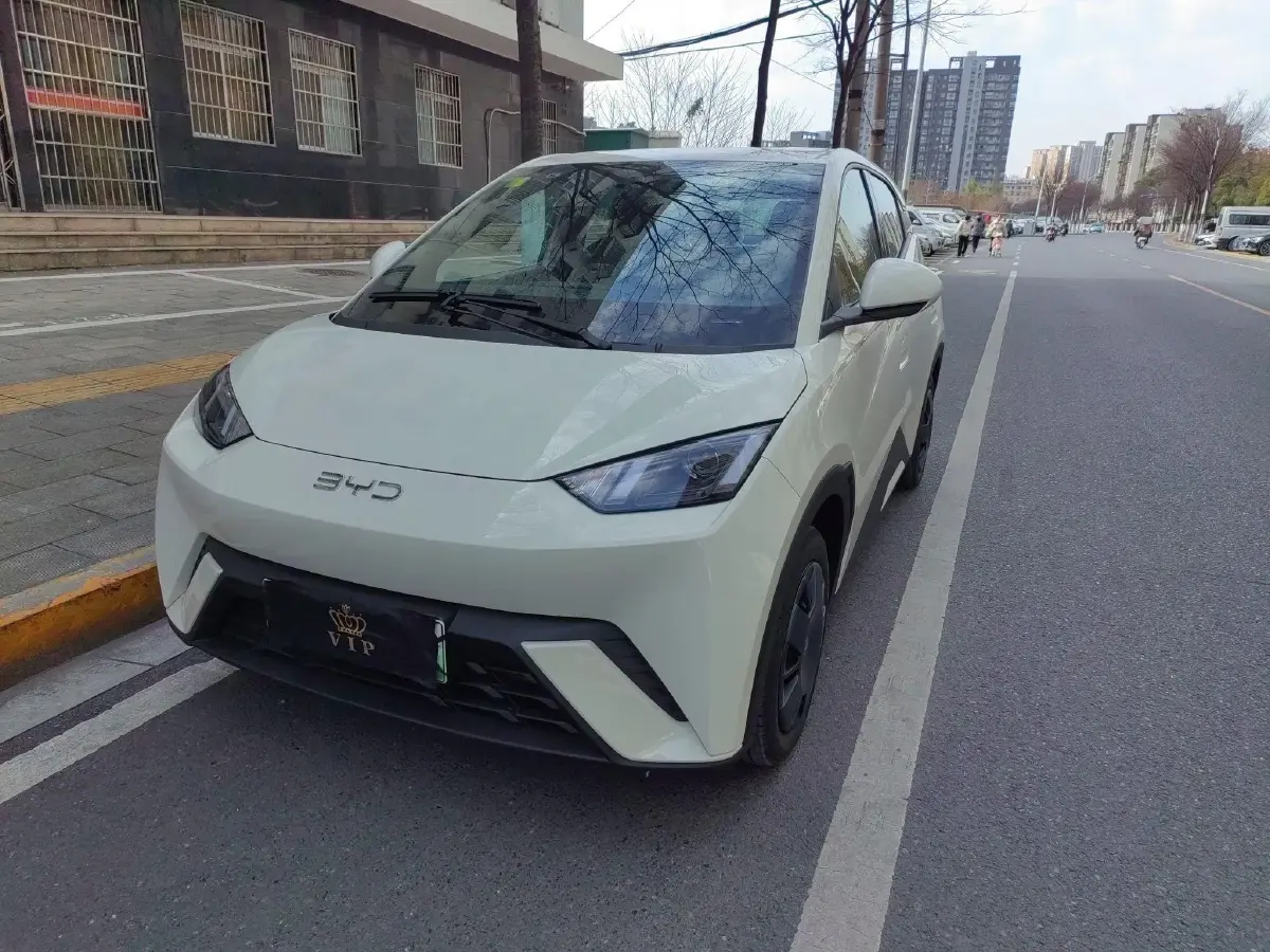 2025 BYD Seagull BEV 30.08KWH