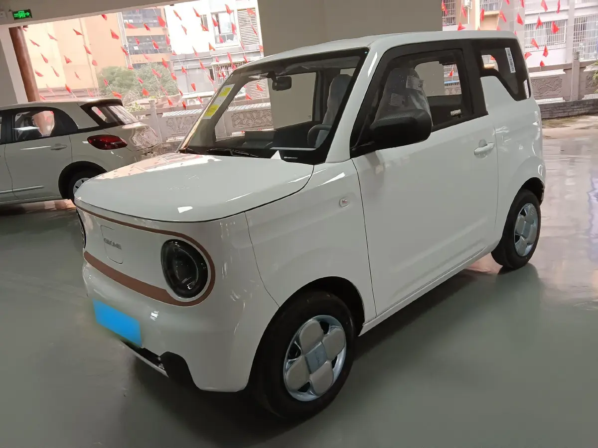 2024 Geely Panda BEV 17.03KWH