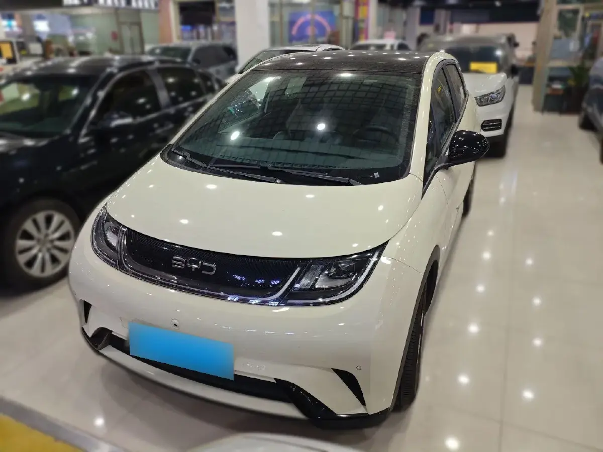 2024 BYD Dolphin BEV 44.928KWH