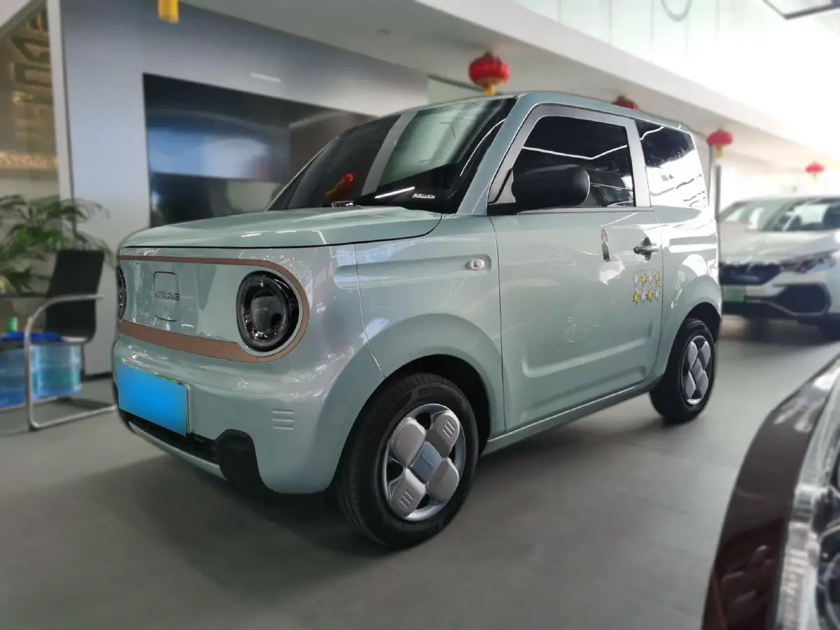 2024 Geely Panda BEV 17.03KWH