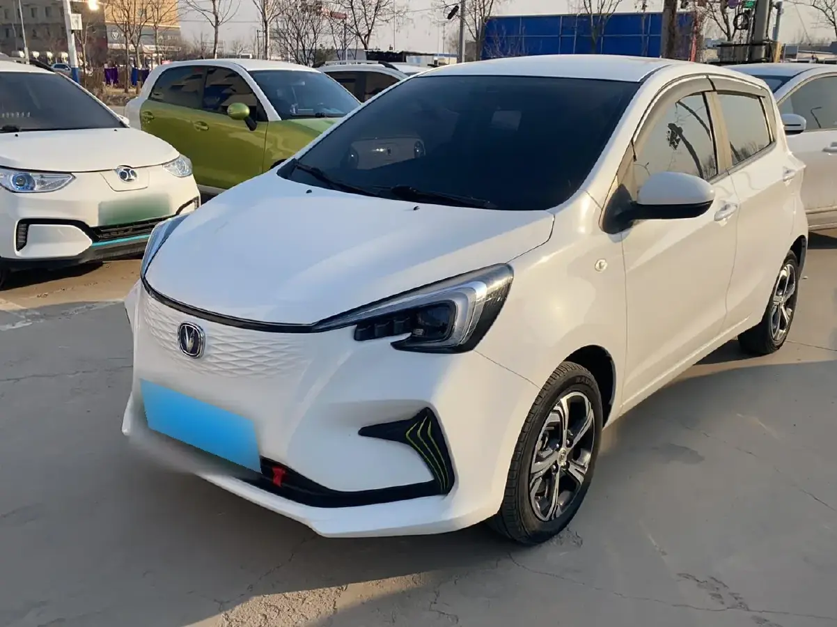 2020 ChangAn BenBen E-Star BEV 31.18KWH