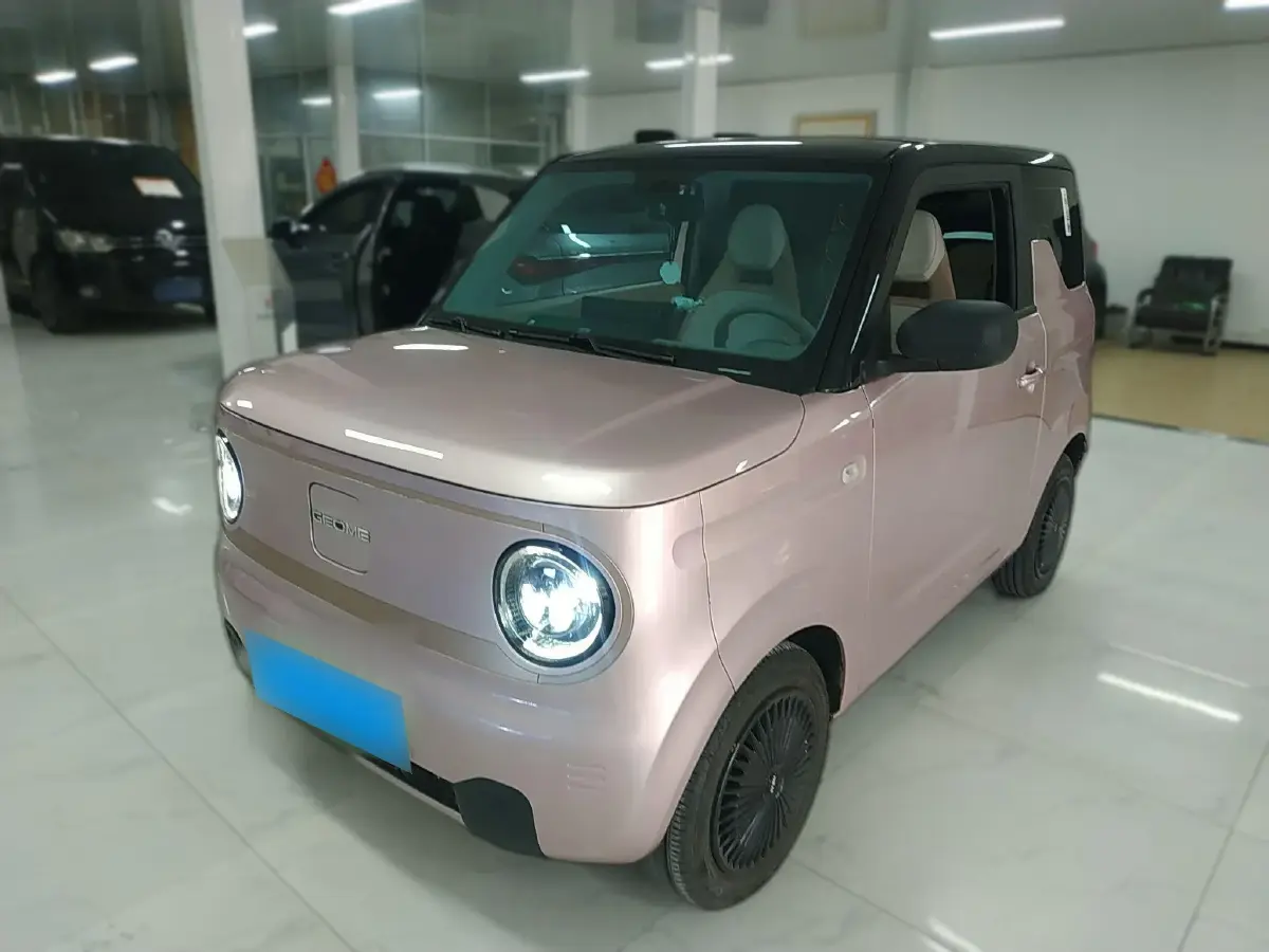 2023 Geely Panda BEV 17.03KWH