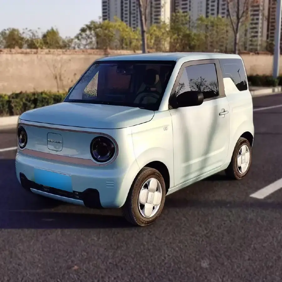 2024 Geely Panda BEV 17.03KWH