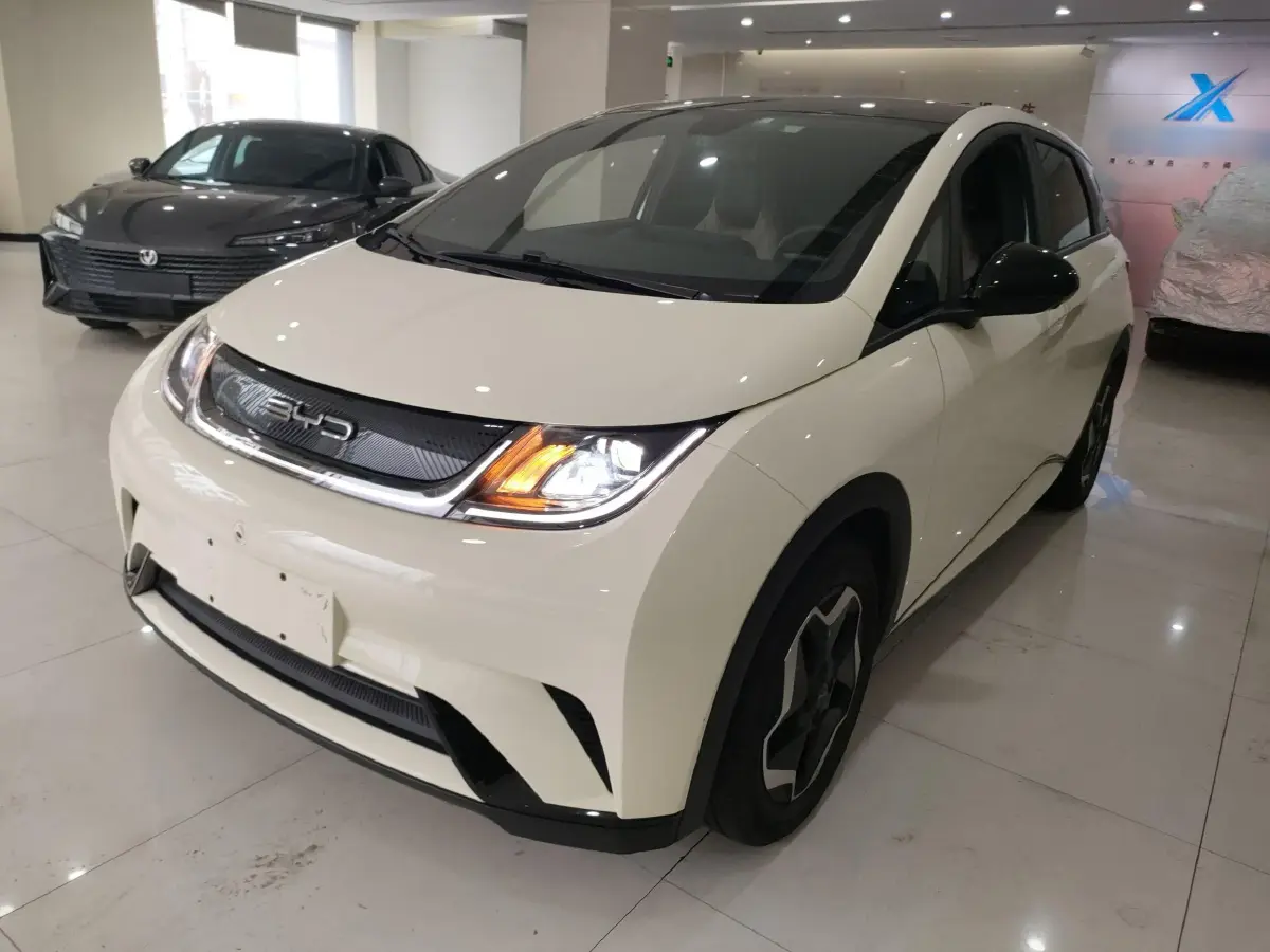 2021 BYD Dolphin BEV 44.9KWH