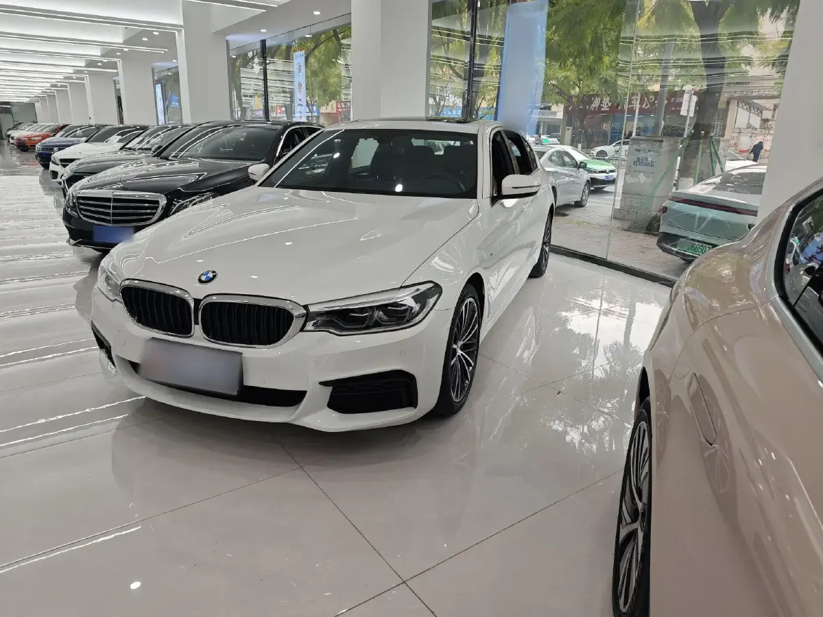2020 BMW 5 Series 2.0T 252HP L4 8AT