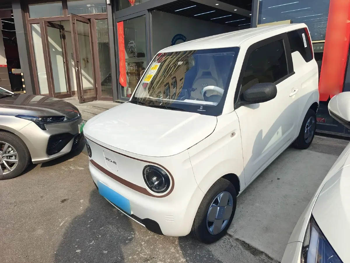 2024 Geely Panda BEV 17.03KWH
