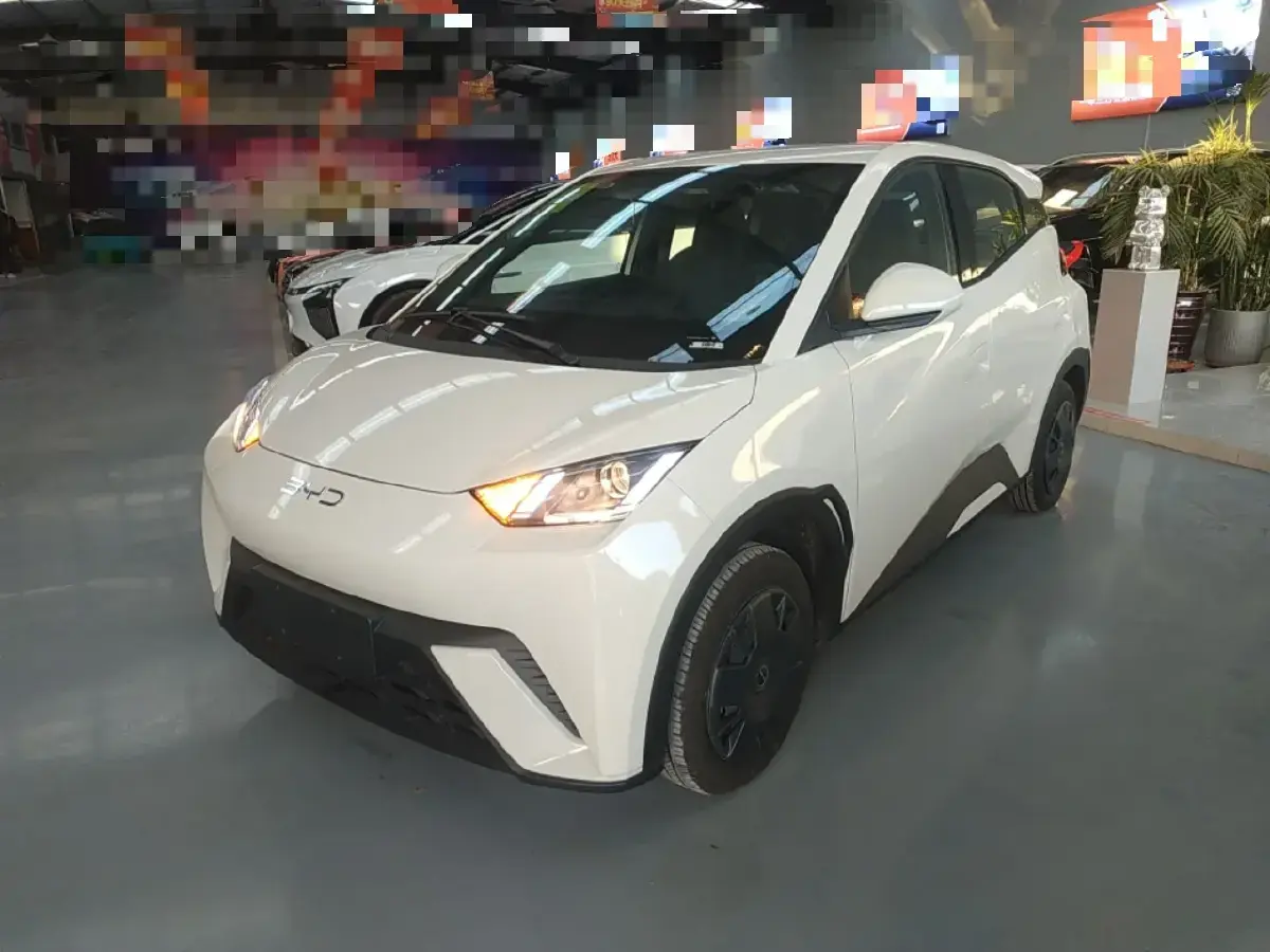 2024 BYD Seagull BEV 30.08KWH