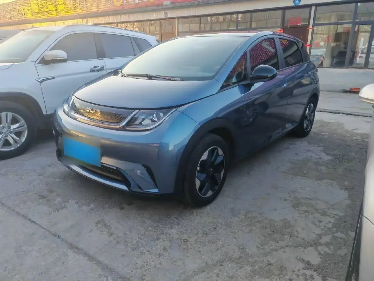 2021 BYD Dolphin BEV 44.9KWH