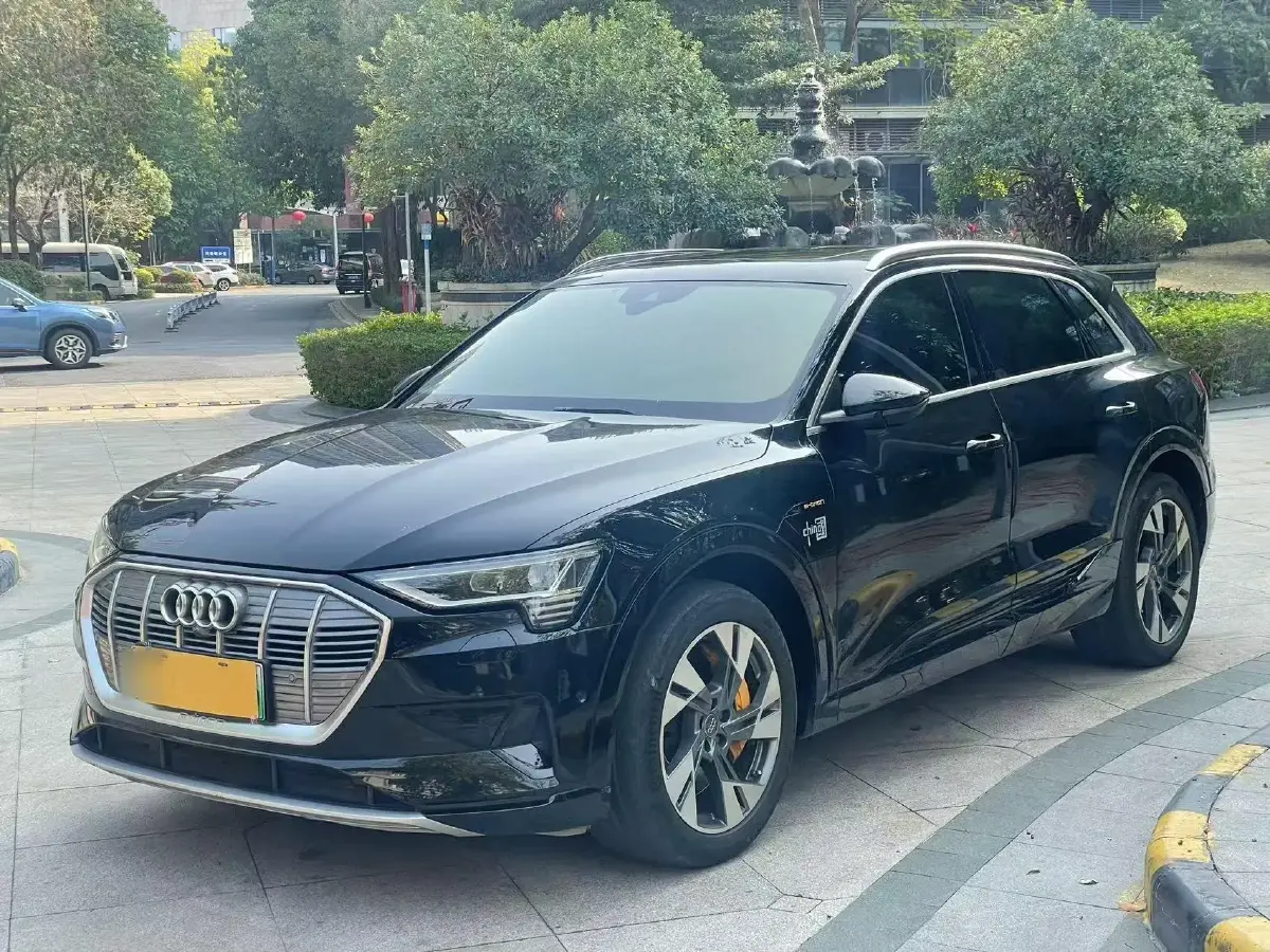 2019 Audi e-tron 2AT BEV 95KWH