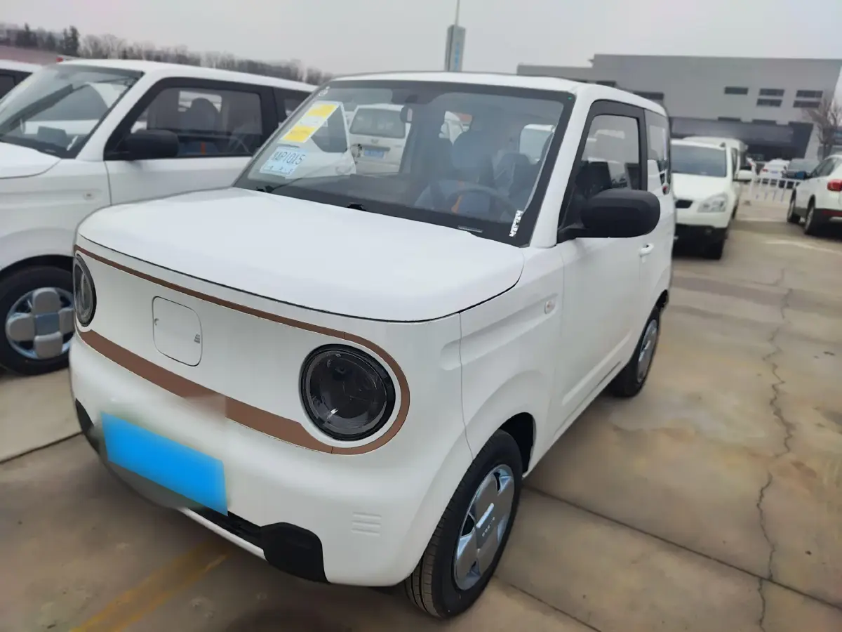 2024 Geely Panda BEV 17.03KWH
