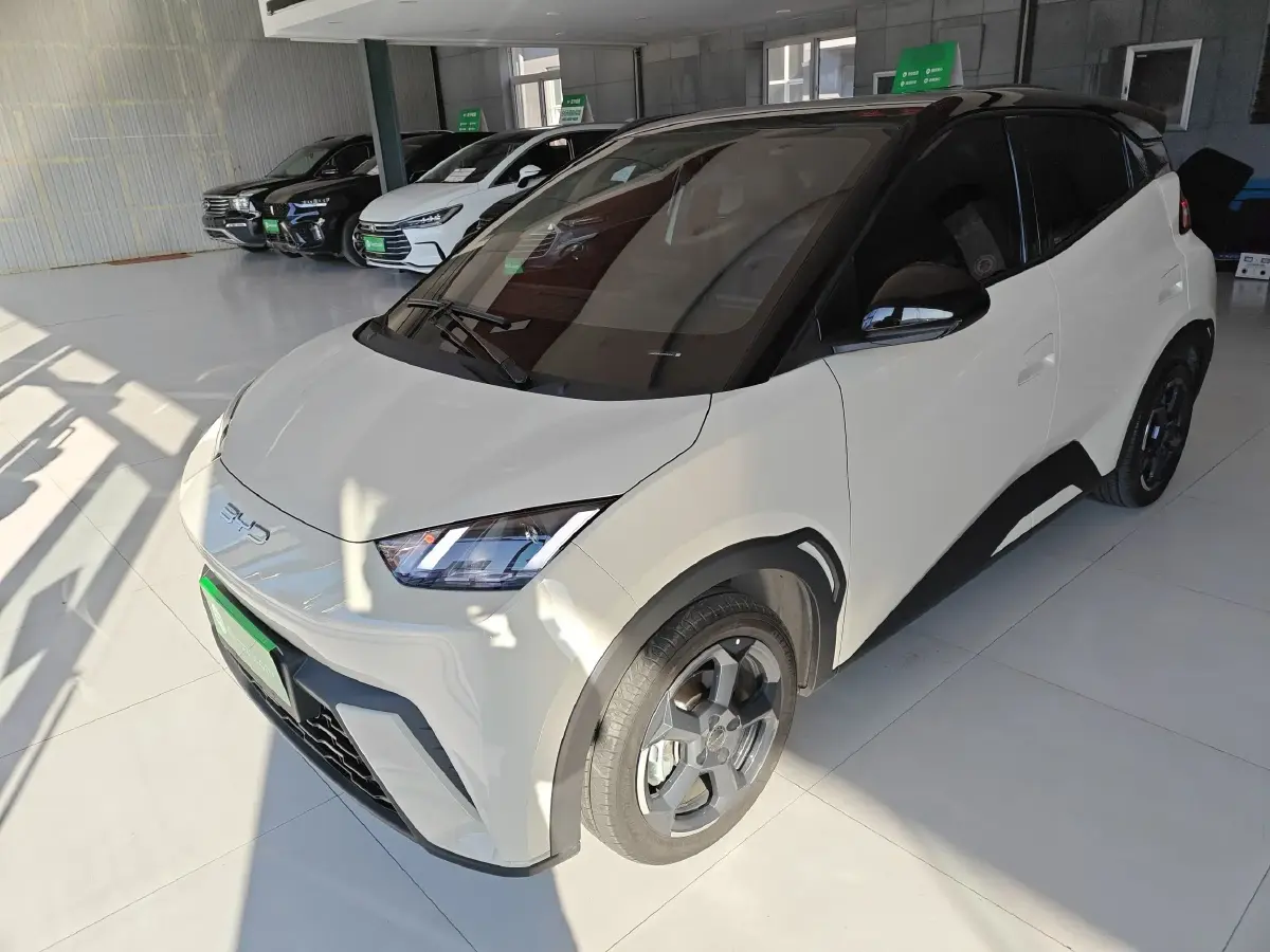2023 BYD Seagull BEV 30.08KWH