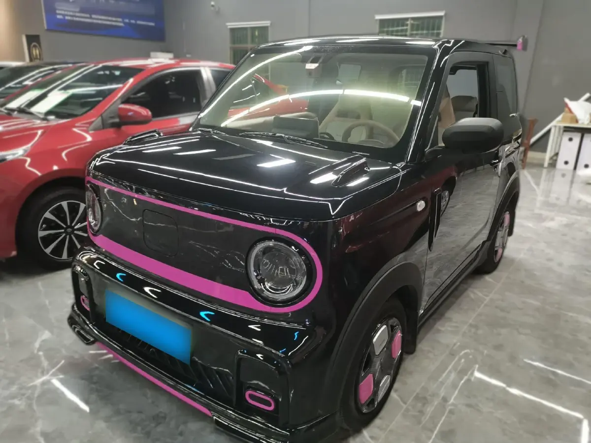2024 Geely Panda BEV 17.03KWH