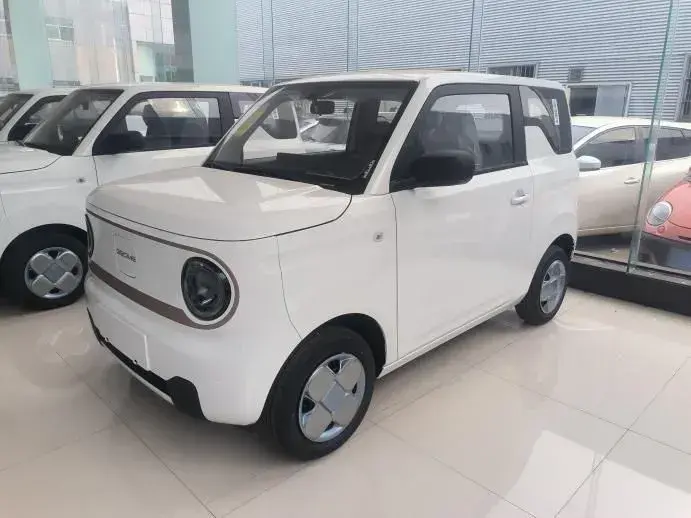 2024 Geely Panda BEV 17.03KWH