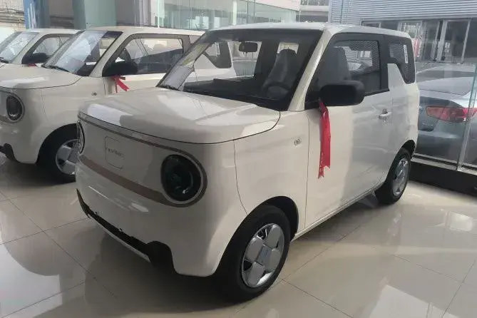 2024 Geely Panda BEV 17.03KWH