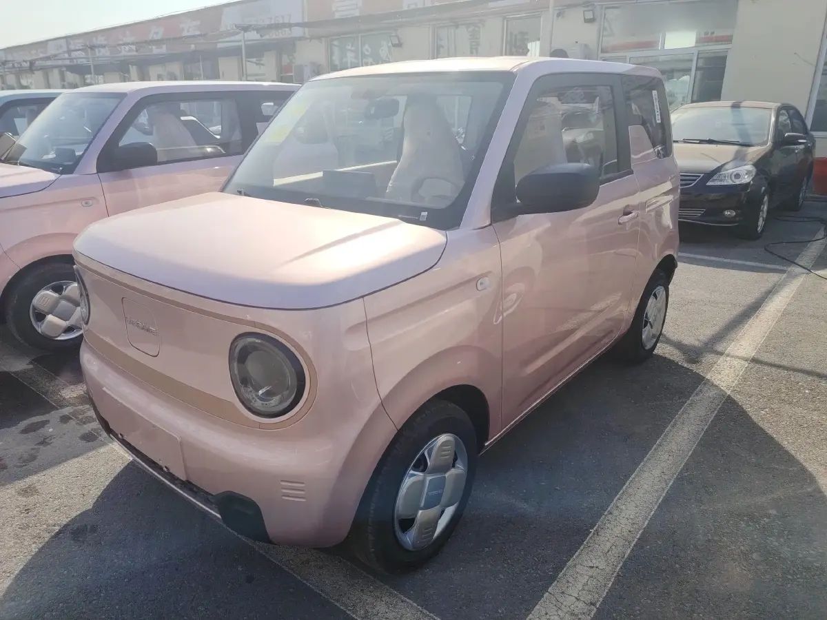 2024 Geely Panda BEV 17.03KWH