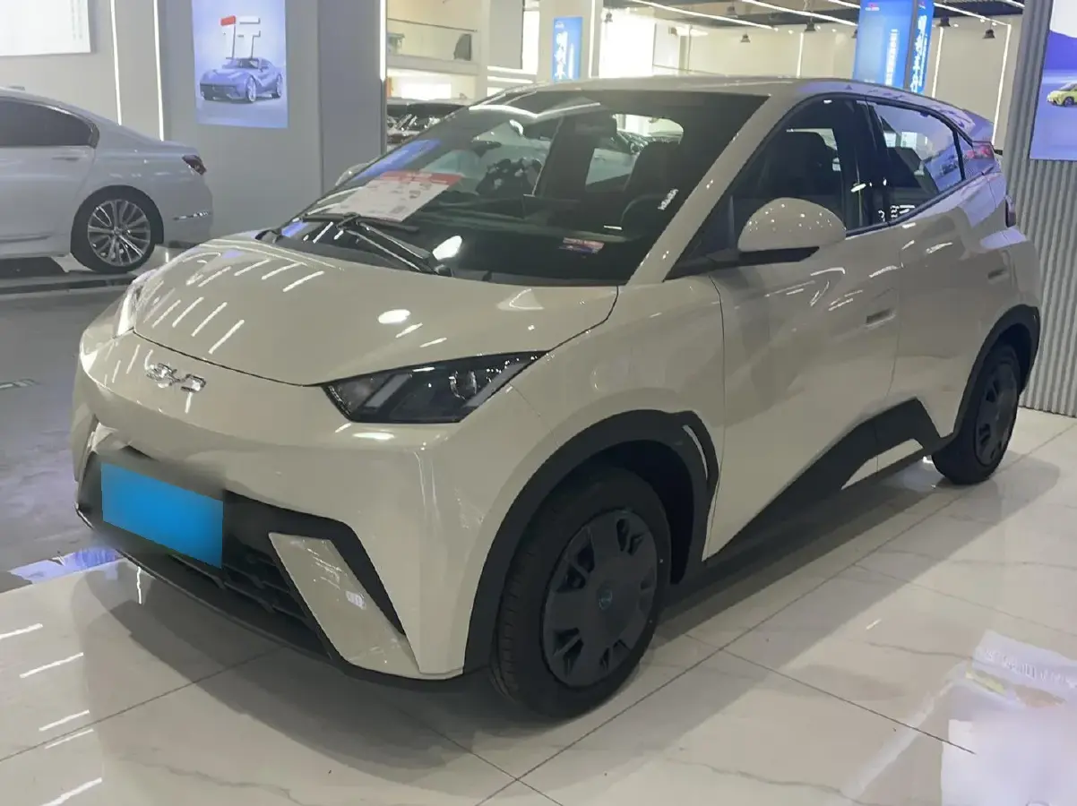 2025 BYD Seagull BEV 30.08KWH