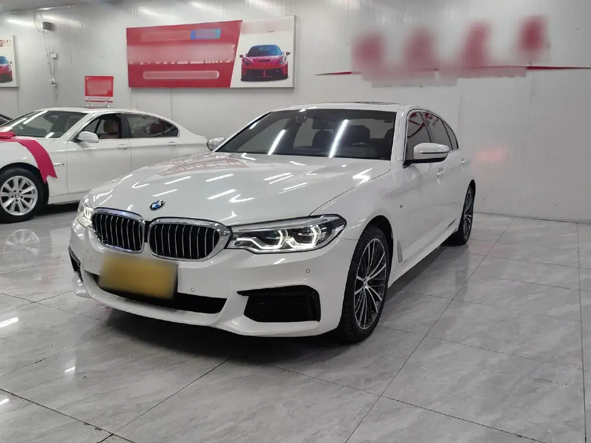 2020 BMW 5 Series 2.0T 252HP L4 8AT