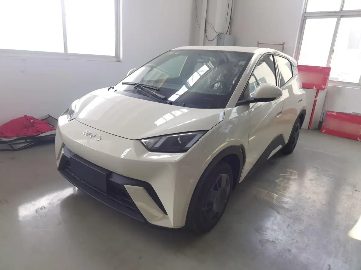 2025 BYD Seagull BEV 30.08KWH