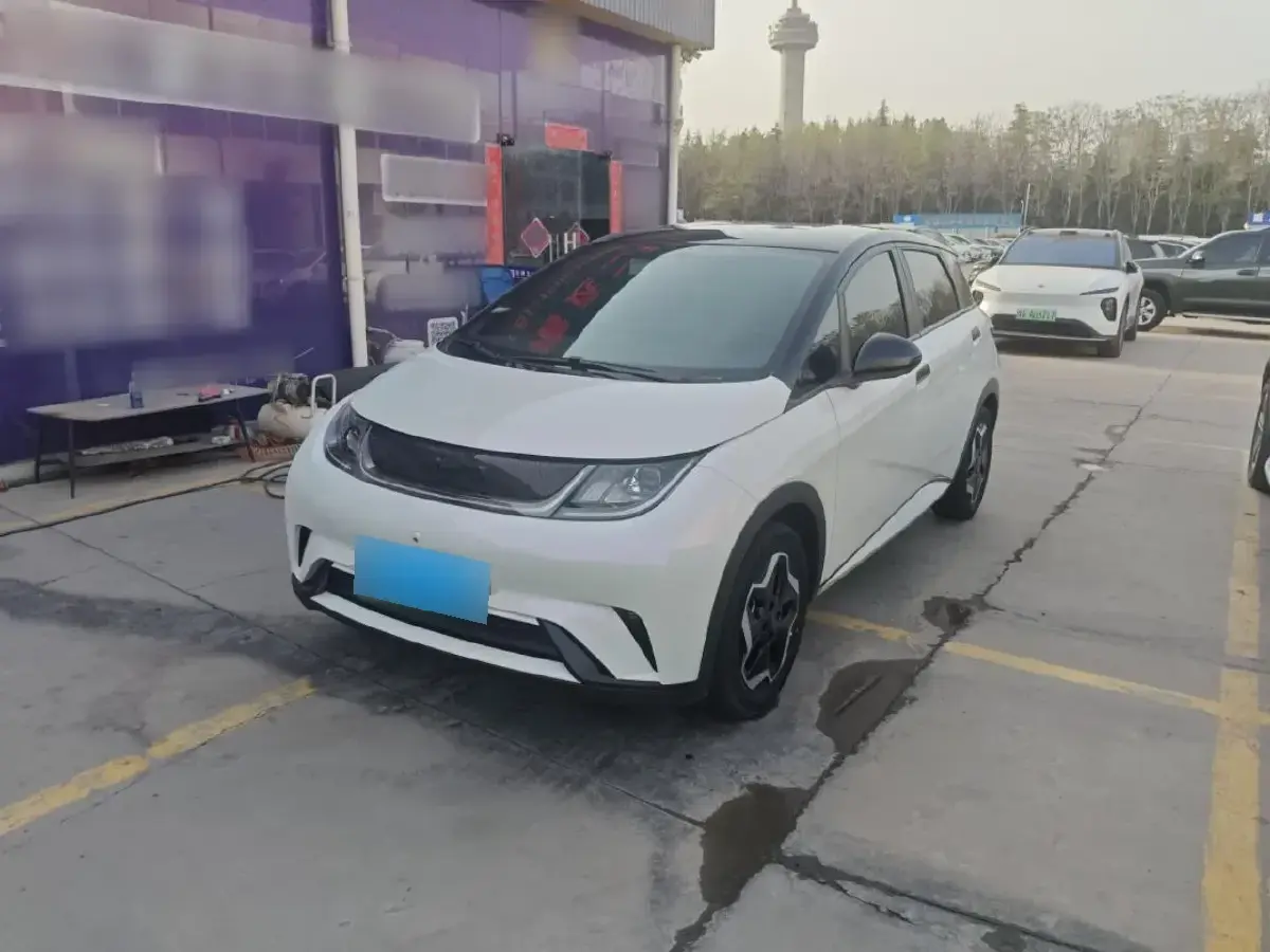 2021 BYD Dolphin BEV 44.9KWH