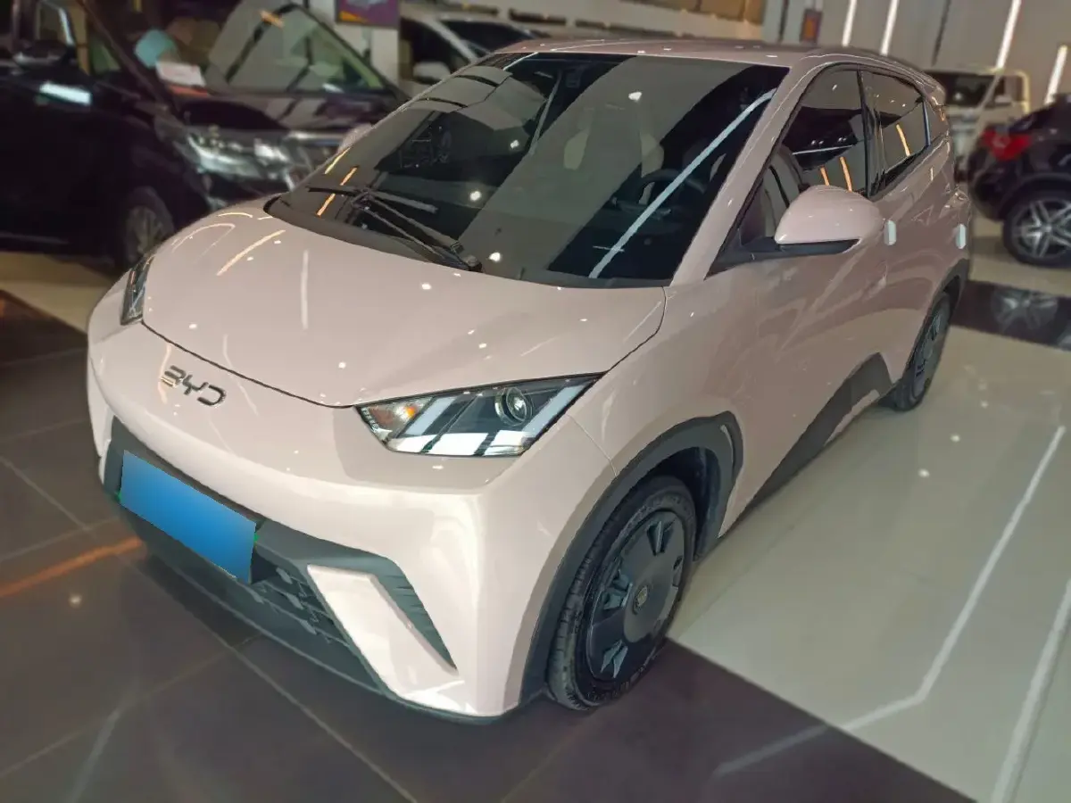 2024 BYD Seagull BEV 30.08KWH