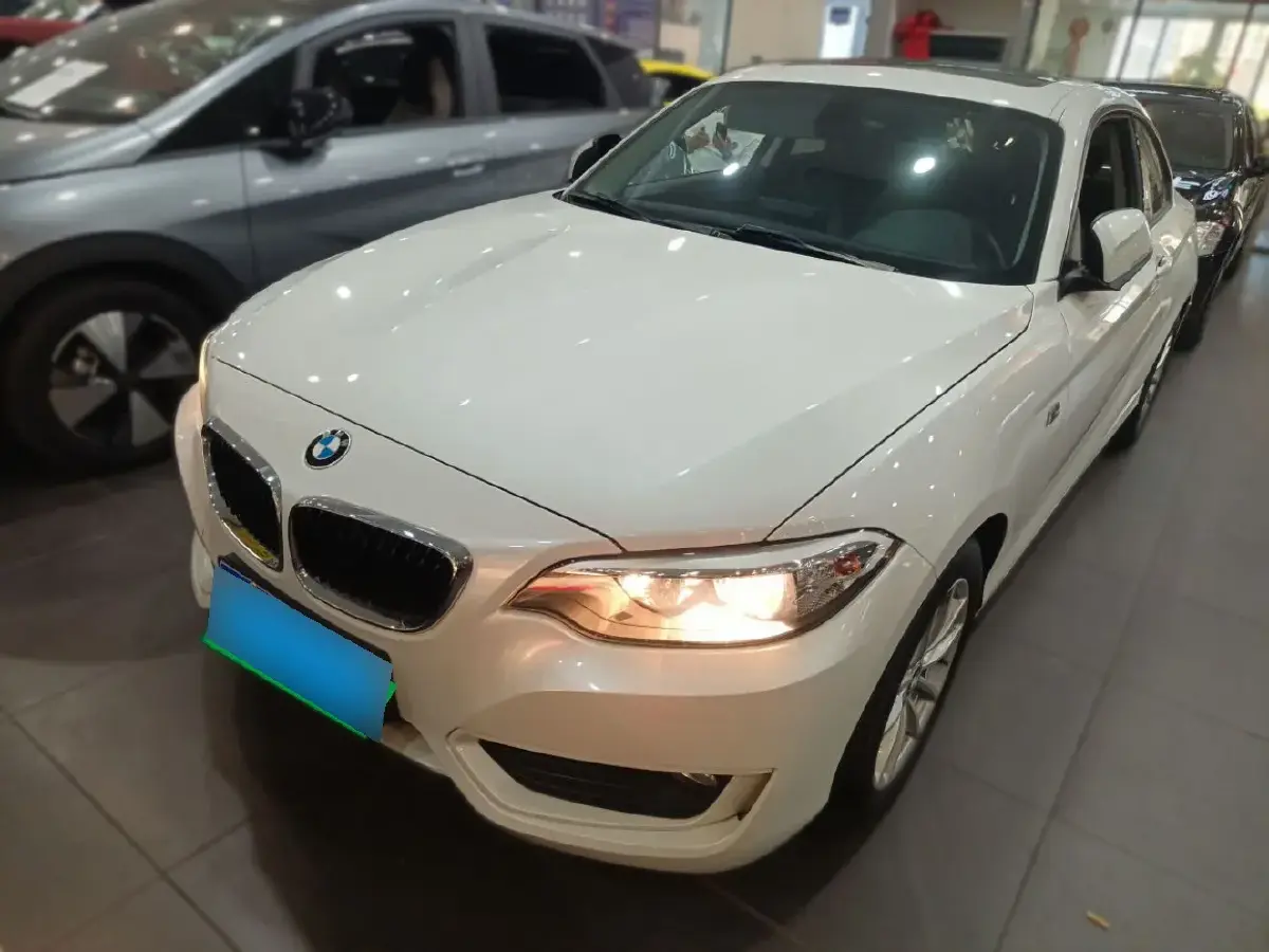 2015 BMW 2 Series 1.5T 136HP L3 8AT