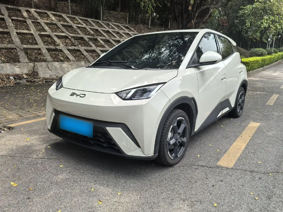 2024 BYD Seagull BEV 30.08KWH