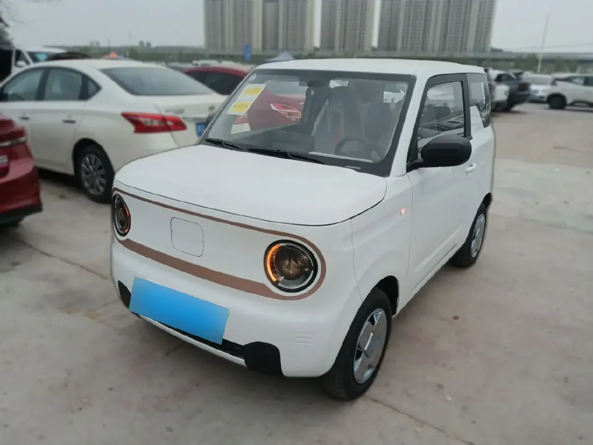 2024 Geely Galaxy Panda BEV 17.03KWH